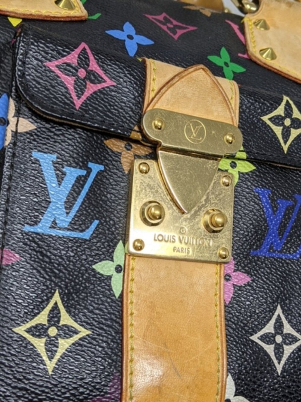 LOUIS VUITTON Multicolor Speedy 30 Tote Bag - Picture 6 of 16